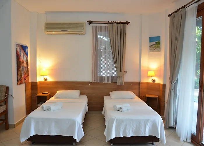 Palmiye اكياكا