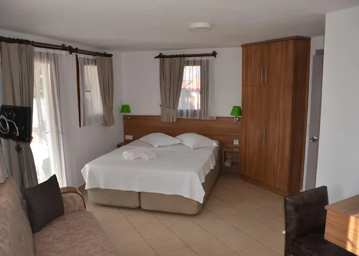 Palmiye اكياكا