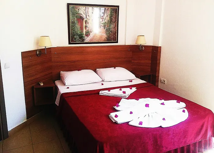 Palmiye اكياكا