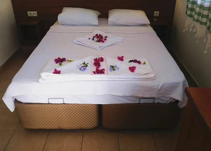 Palmiye * اكياكا