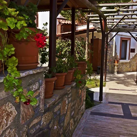 Hotel Palmiye *