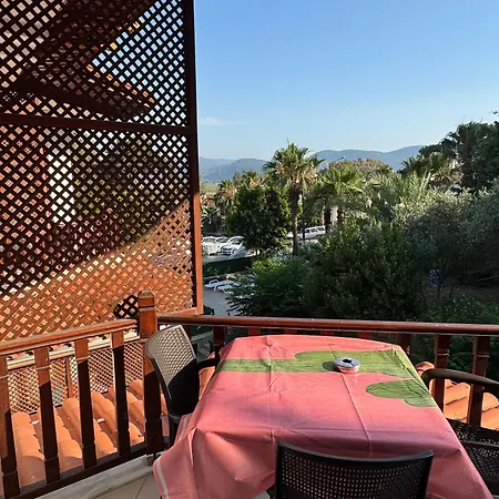 Palmiye *