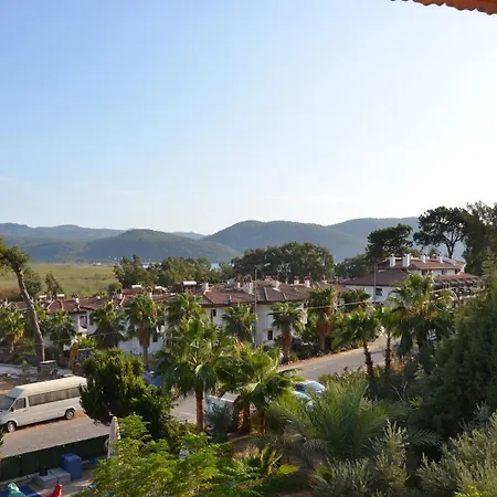 Palmiye *