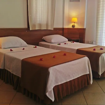 Apartment Palmiye