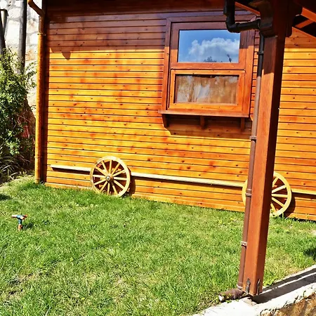 Palmiye *