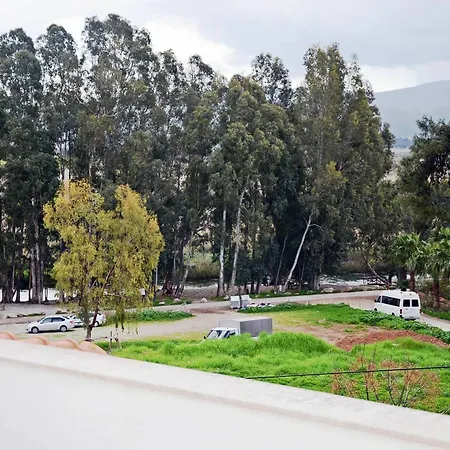Palmiye * Akyaka (Mugla)