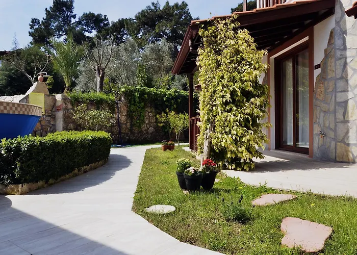 Palmiye * Akyaka (Mugla)