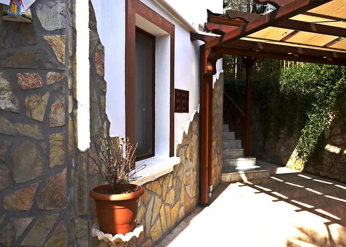 Palmiye Akyaka (Mugla)