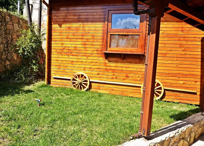 Palmiye * Akyaka (Mugla)