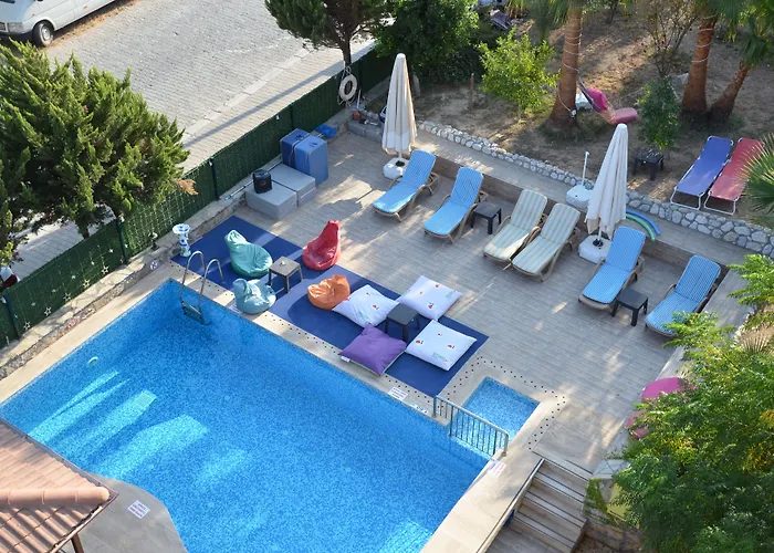 Palmiye * Akyaka (Mugla)